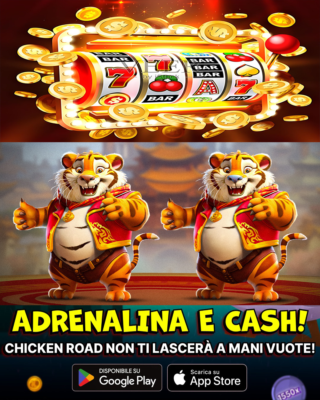 virtus bet 